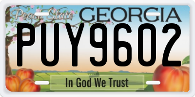 GA license plate PUY9602