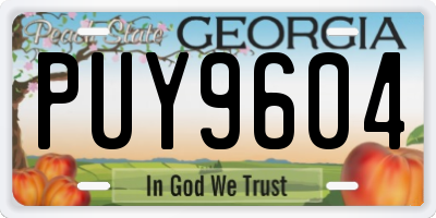 GA license plate PUY9604