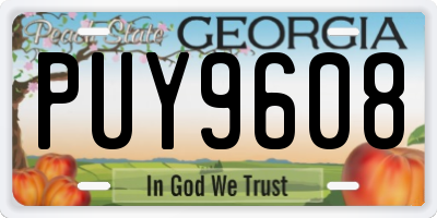 GA license plate PUY9608