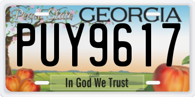 GA license plate PUY9617