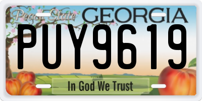 GA license plate PUY9619