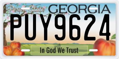GA license plate PUY9624