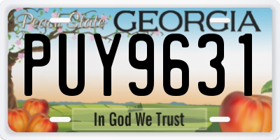 GA license plate PUY9631