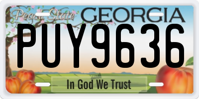GA license plate PUY9636
