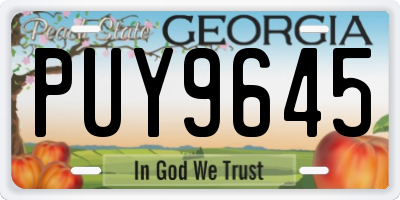 GA license plate PUY9645