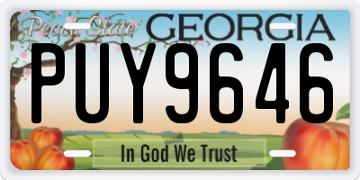 GA license plate PUY9646