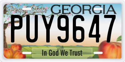 GA license plate PUY9647