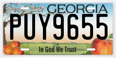 GA license plate PUY9655