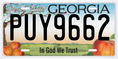 GA license plate PUY9662