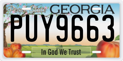 GA license plate PUY9663