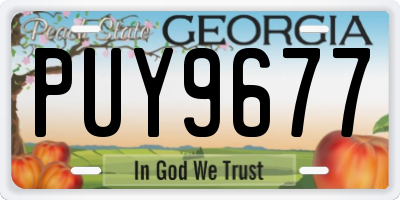 GA license plate PUY9677