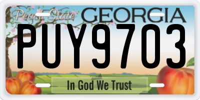GA license plate PUY9703