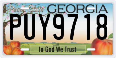 GA license plate PUY9718
