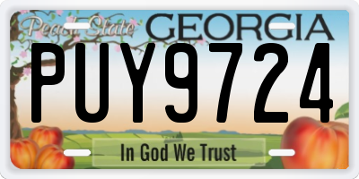 GA license plate PUY9724
