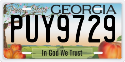 GA license plate PUY9729