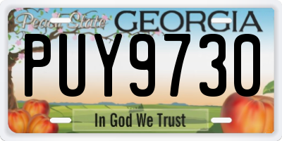 GA license plate PUY9730