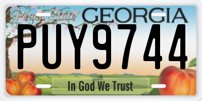 GA license plate PUY9744