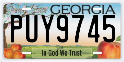GA license plate PUY9745