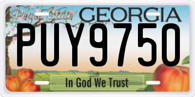 GA license plate PUY9750