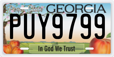 GA license plate PUY9799