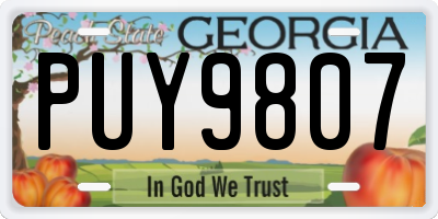 GA license plate PUY9807