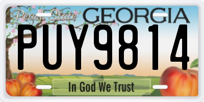 GA license plate PUY9814