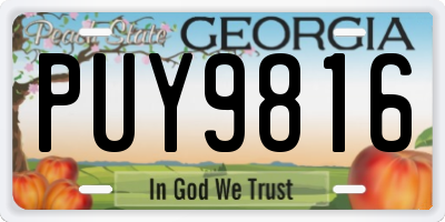 GA license plate PUY9816