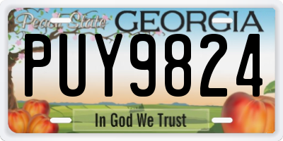 GA license plate PUY9824