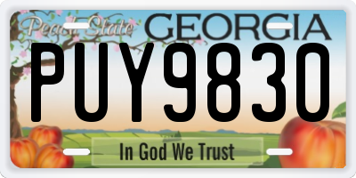 GA license plate PUY9830