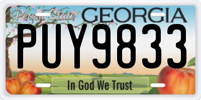GA license plate PUY9833