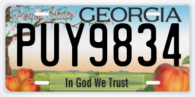 GA license plate PUY9834