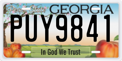 GA license plate PUY9841
