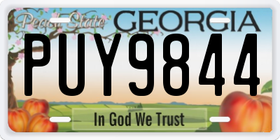 GA license plate PUY9844