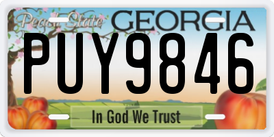 GA license plate PUY9846