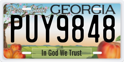 GA license plate PUY9848