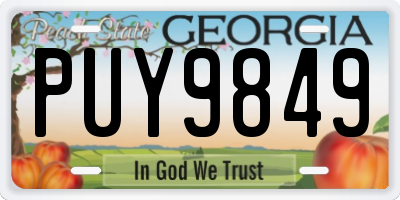 GA license plate PUY9849
