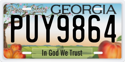GA license plate PUY9864