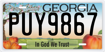 GA license plate PUY9867