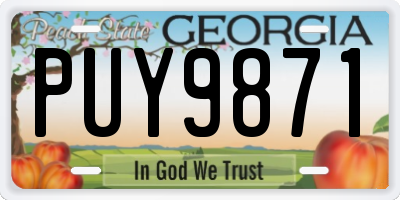 GA license plate PUY9871