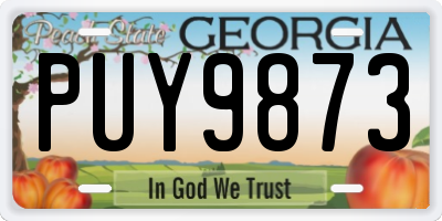 GA license plate PUY9873