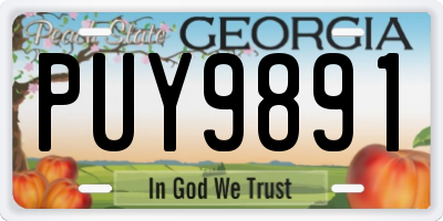 GA license plate PUY9891