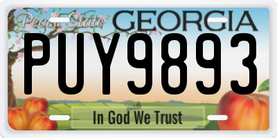 GA license plate PUY9893