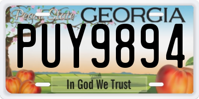 GA license plate PUY9894
