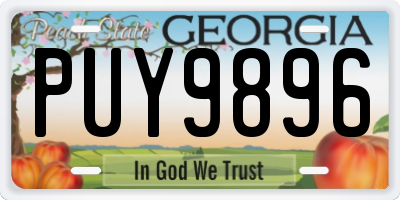 GA license plate PUY9896