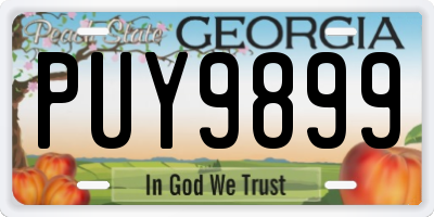 GA license plate PUY9899