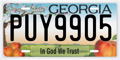 GA license plate PUY9905