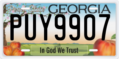 GA license plate PUY9907