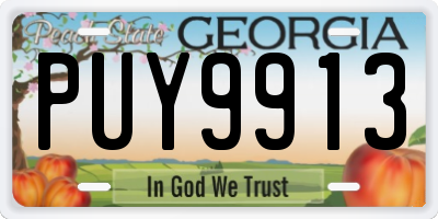 GA license plate PUY9913