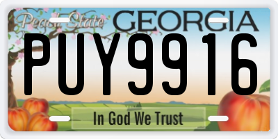 GA license plate PUY9916