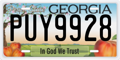 GA license plate PUY9928
